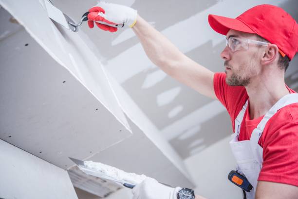 Trusted Alamosa East, CO Dry wall and painting Experts